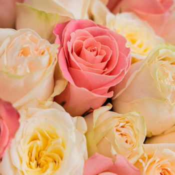 Монобукет 51 роза микс 3